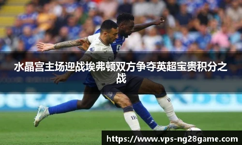 水晶宫主场迎战埃弗顿双方争夺英超宝贵积分之战